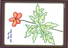 Thêu tay 014