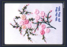 Ruybang 016