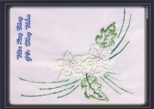 Ruybang 004