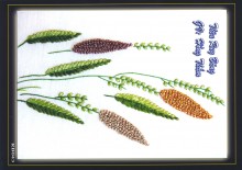 Ruybang 041
