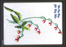 Ruybang 030