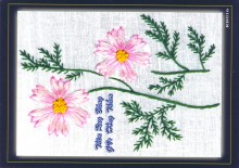 Ruybang 020