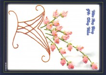 Ruybang 008