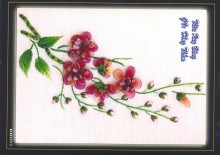 Ruybang 045