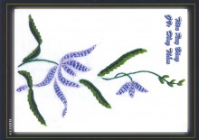 Ruybang 035