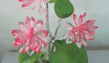 Lớp kết hoa pha lê