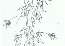 Áo kiểu, áo đầm, sơmi 007