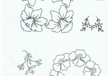 Cổ điển 015