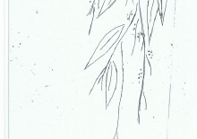 Áo kiểu, áo đầm, sơmi 021