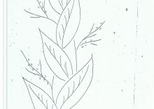 Áo kiểu, áo đầm, sơmi 023