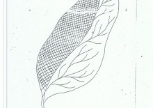 Áo kiểu, áo đầm, sơmi 025