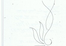 Áo kiểu, áo đầm, sơmi 069
