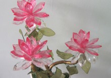 Hoa mãn dình hồng