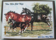 Tranh chữ thập 2