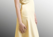Áo đầm 007